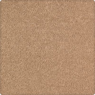 Karastan Kashmere Rising Fashion Desert Sand 63550-6858