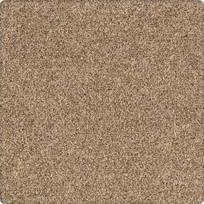 Karastan Kashmere Peaceful Rhythm Gypsum 63564-6841