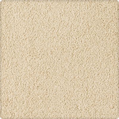 Karastan Smartstrand Silk Soft Extravagance Portrait 63574-6722