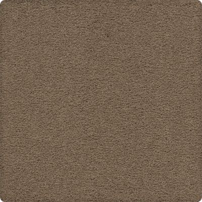 Karastan Smartstrand Crafted Details Gentle Doe 63584-6774