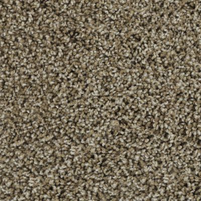 Karastan Smartstrand Bold Finish Swiss Almond 63614-6848