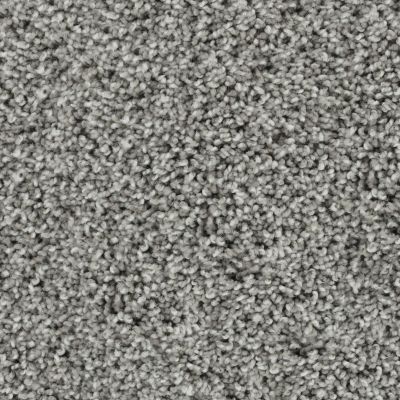 Karastan Smartstrand Bold Finish Early Evening 63614-6963