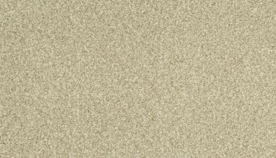 Karastan Kashmere Sensational Details Linen 63917-6735