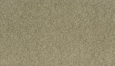 Karastan Kashmere Sensational Details Perfect Greige 63917-6942