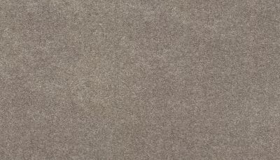 Karastan Smartstrand Dazzling Statement Haze 63926-6779