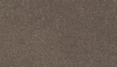 Karastan Smartstrand Dazzling Statement Longhorn 63926-6824