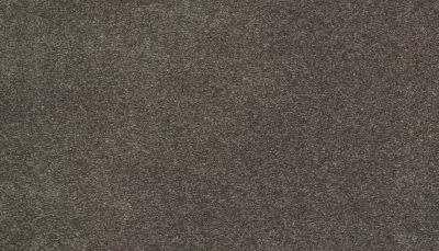 Karastan Smartstrand Dazzling Statement Cypress 63926-6879