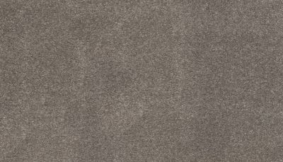 Karastan Smartstrand Dazzling Statement Manatee 63926-6952