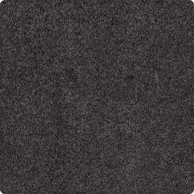 Karastan Smartstrand Luxurious Appeal Ebony Star 70903-3999