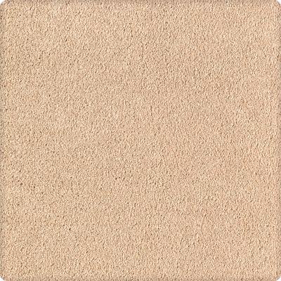 Karastan Kashmere Quiet Sophistication Praline 70906-3724