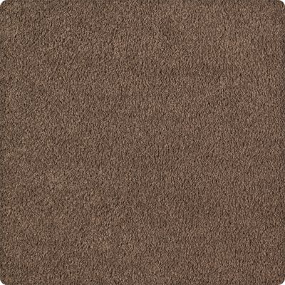 Karastan Kashmere Quiet Sophistication Mocha 70906-3879