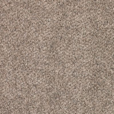 Karastan Smartstrand Lush Appeal Mushroom 70925-3776