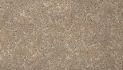 Karastan Smartstrand Silk Elegant Tracery Beach House 70928-3738