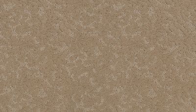 Karastan Smartstrand Silk Elegant Tracery Milled Straw 70928-3826