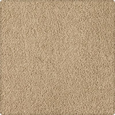 Karastan Smartstrand Silk Soft Finesse Corkwood 70932-3755