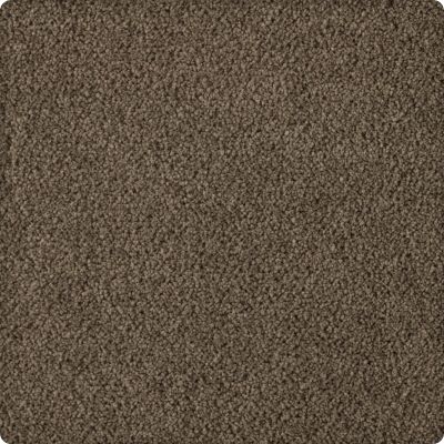 Karastan Smartstrand Silk Soft Finesse Beaten Trail 70932-3869