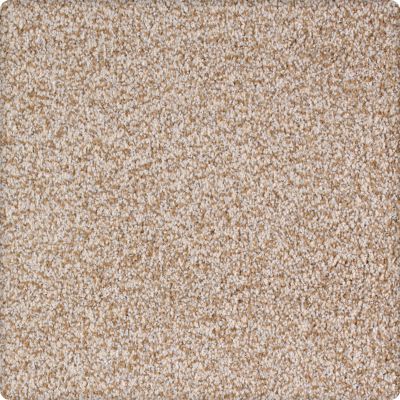 Karastan Kashmere Pleasant Tones Almond 70936-3741