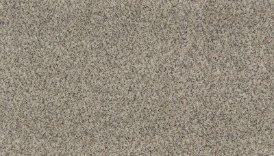 Karastan Smartstrand Rustic Intrigue Toasted Almond 70975-3731