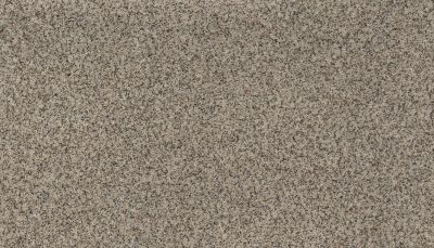 Karastan Smartstrand Rustic Intrigue Morning Mist 70975-3809