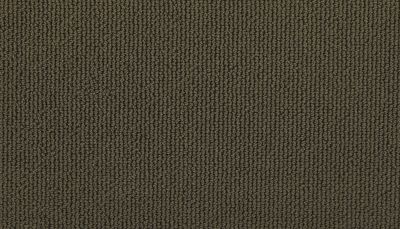 Karastan Smartstrand Cozy Indulgence Deep Sable 70976-3895