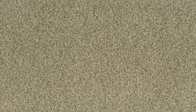 Karastan Kashmere Astonishing Beauty Tranquil Taupe 70982-3942