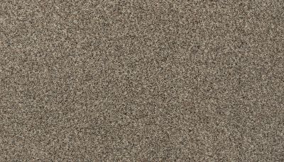 Karastan Smartstrand Intriguing Charm Pure Beige 70986-3816