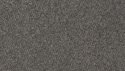 Karastan Smartstrand Intriguing Charm Grey Flannel 70986-3973