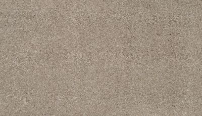 Karastan Smartstrand Splendid Elegance Basketweave 70989-3776