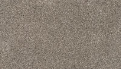 Karastan Smartstrand Splendid Elegance Fall Fields 70989-3830