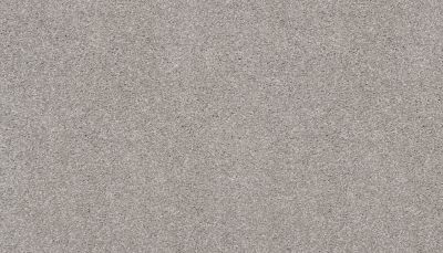 Karastan Smartstrand Splendid Elegance Soft Ash 70989-3920