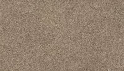 Karastan Smartstrand Fascinating Hues Tradition 70991-3768