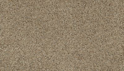 Karastan Smartstrand Native Restoration Drifty Mist 79037-3756