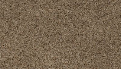 Karastan Smartstrand Native Restoration Artisan Tan 79037-3771