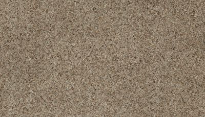 Karastan Smartstrand Native Restoration Gateway Grey 79037-3776