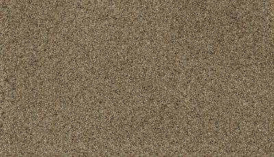 Karastan Smartstrand Native Restoration Steady Brown 79037-3787