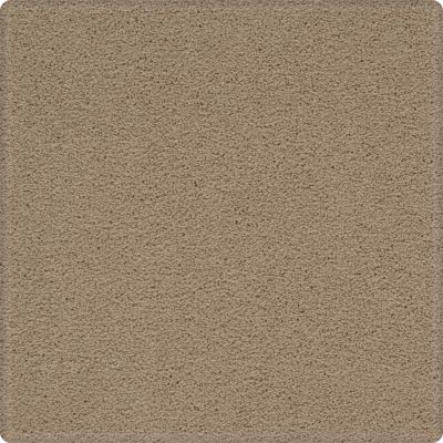 Karastan Smartstrand Dynamic Display Cashmere 79039-3732