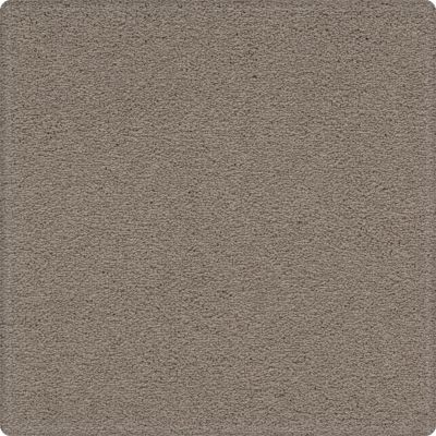 Karastan Smartstrand Dynamic Display Dried Peat 79039-3745