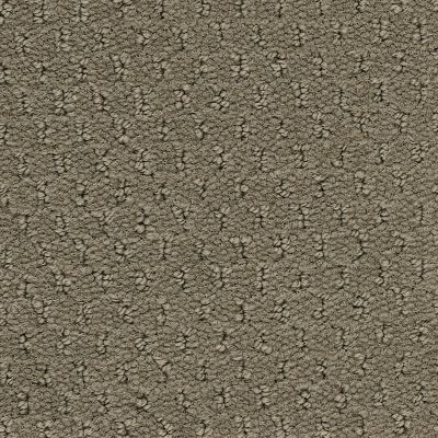 Aladdin Commercial Classic Update-qs Mesa Taupe AQ204-868