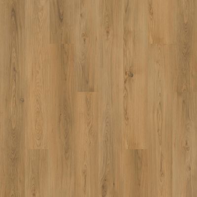Mohawk Solidtech Plus Barker Cove Rowan AST10-208