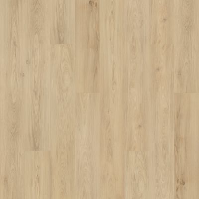 Mohawk Solidtech Plus Barker Cove Hazel AST10-237
