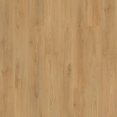 Mohawk Solidtech Plus Barker Cove Daisy AST10-241