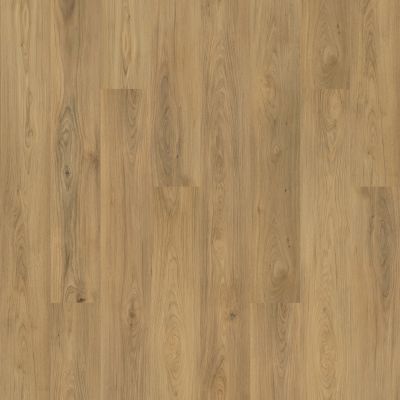 Mohawk Solidtech Plus Barker Cove Chance AST10-842