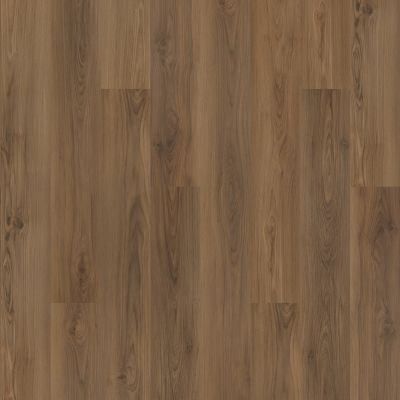 Mohawk Solidtech Plus Barker Cove Ranger AST10-855