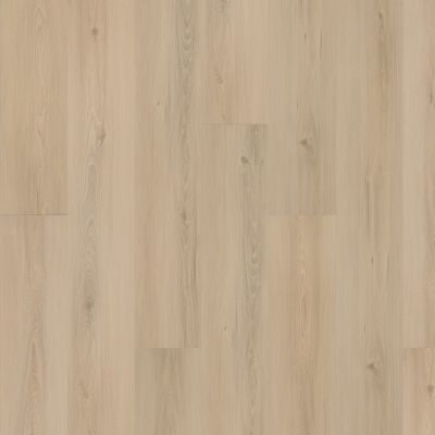 Mohawk Solidtech Plus Eastbrook Bay Constance AST11-218