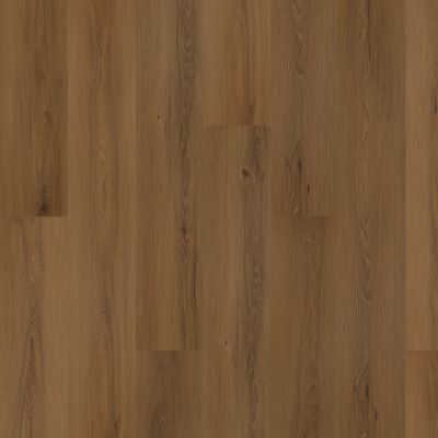 Mohawk Solidtech Plus Eastbrook Bay Hartley AST11-843