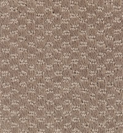 Portico Everstrand Westhaven Pointe Havana Tan BP02A-852