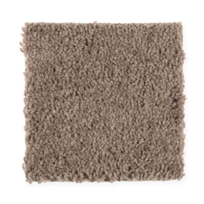 Portico Smartstrand Neutral Base Dried Peat BP08A-858