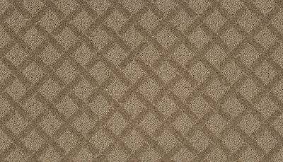 Portico Smartstrand Eternal Quality Horse’s Mane BP13B-523