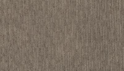 Portico Everstrand Tonal Trend Nomad BP18C-805