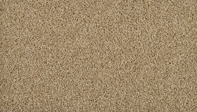 Portico Everstrand High Ground II Warm Almond BP24D-725